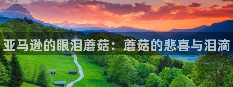 妈妈的朋友ok电影天堂